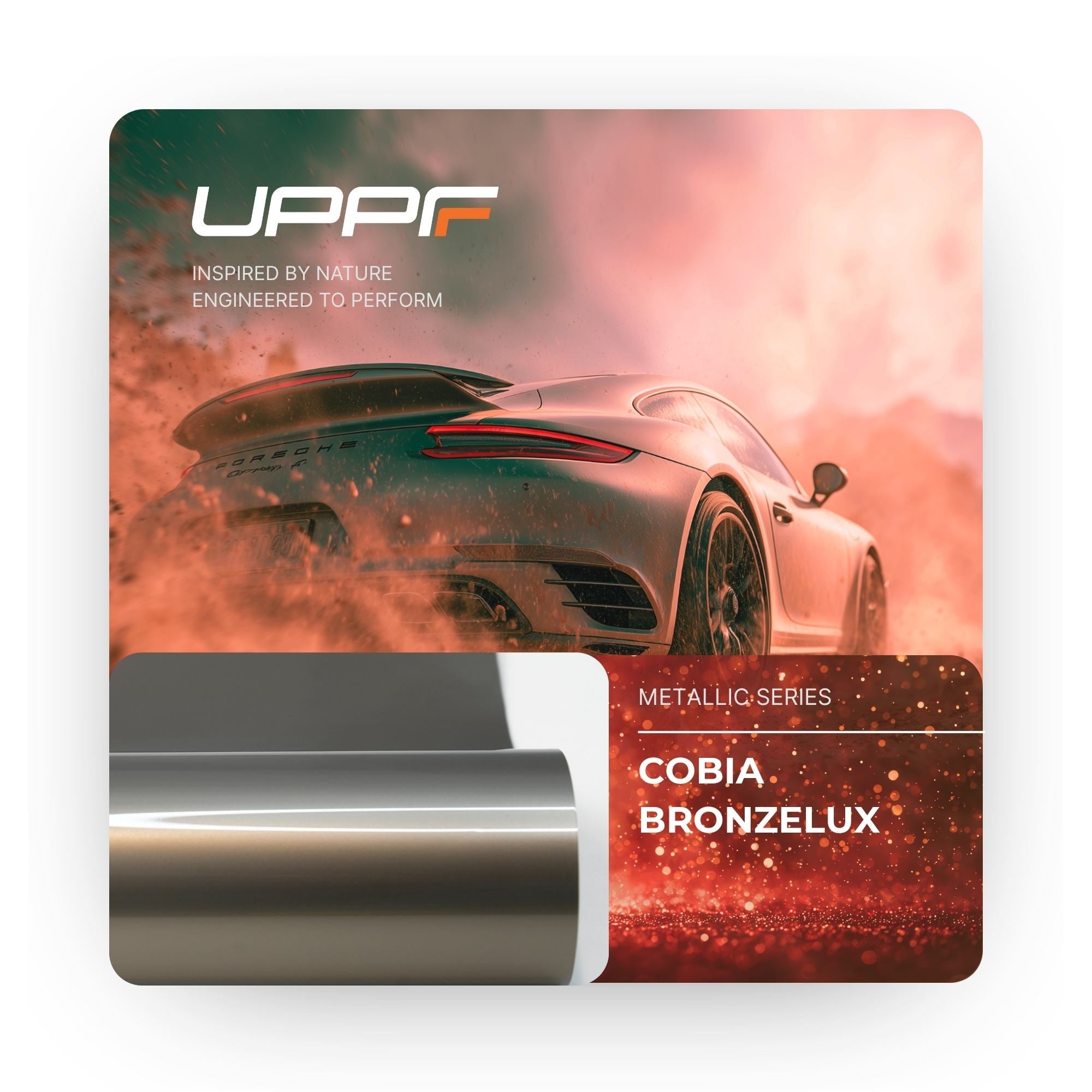 Cobia Bronzelux CL8023