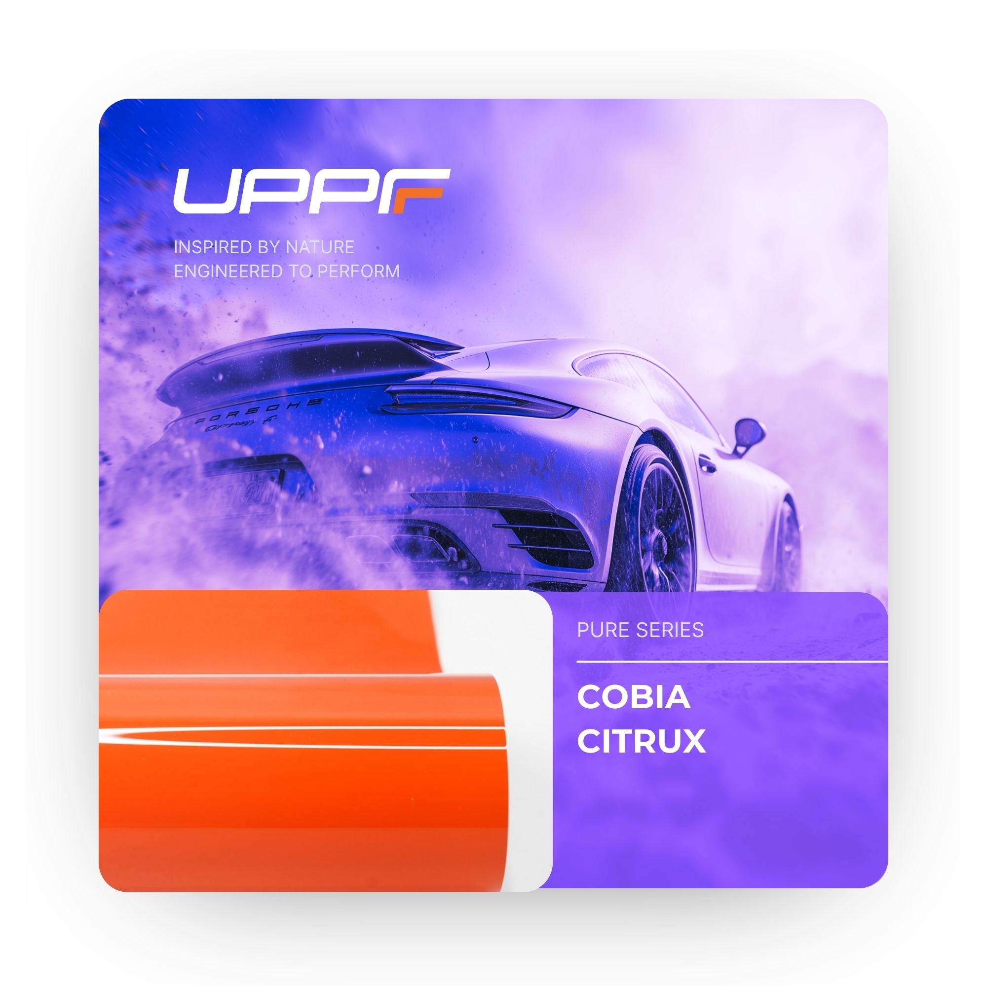Cobia Citrux CP6023