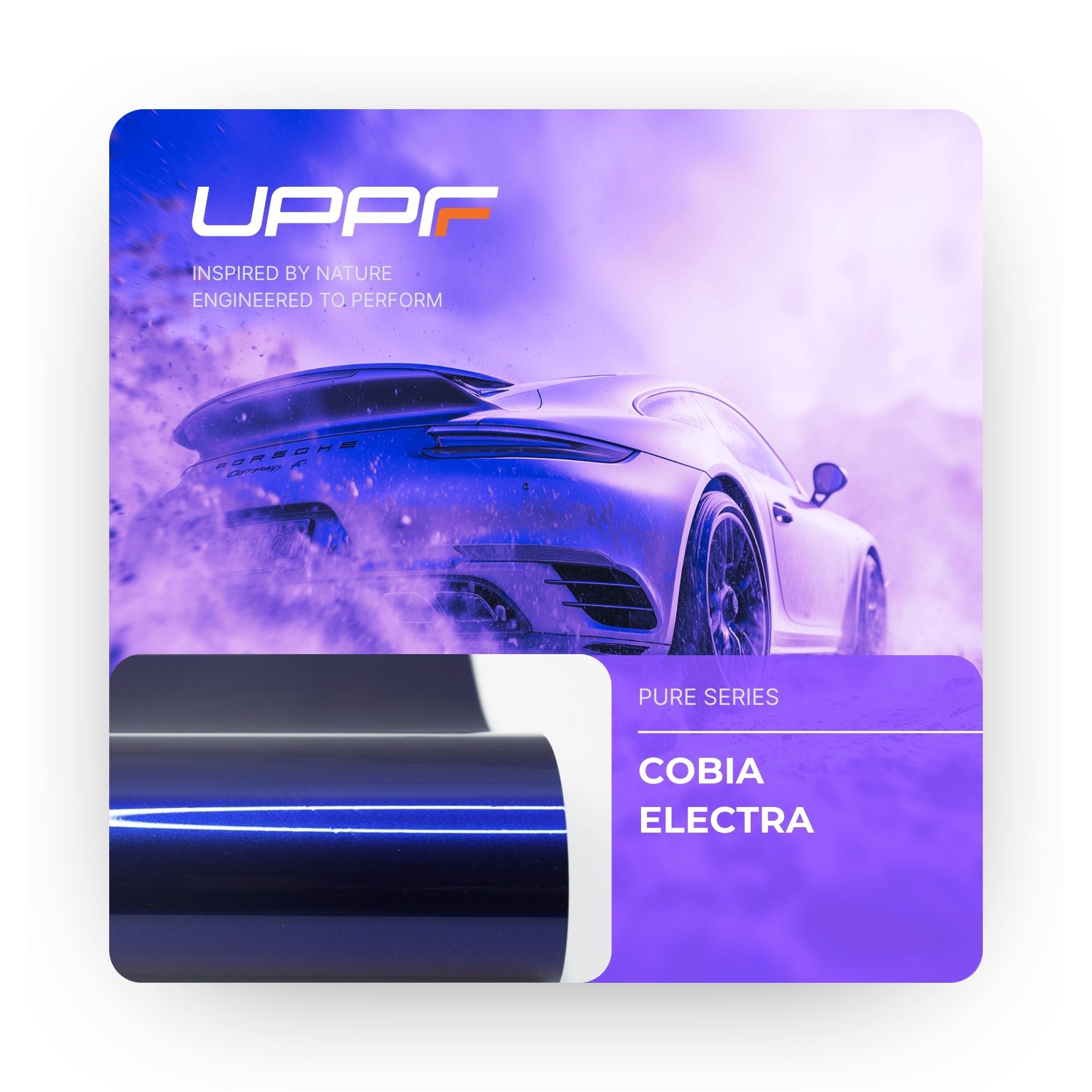 Cobia Electra CP6010