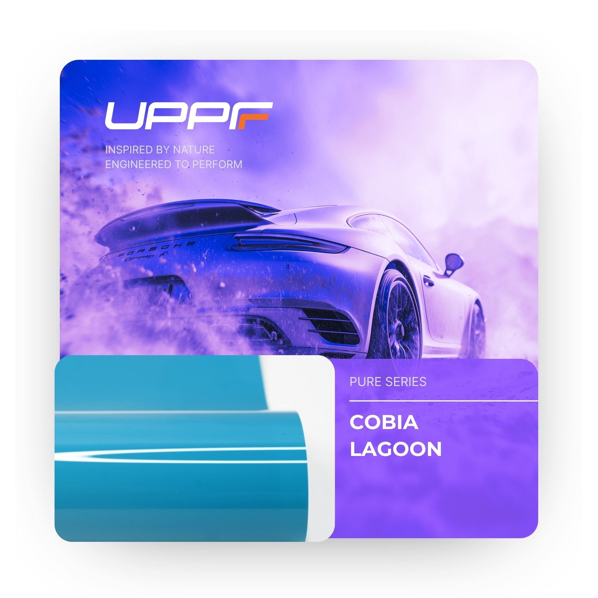 Cobia Lagoon CP6008