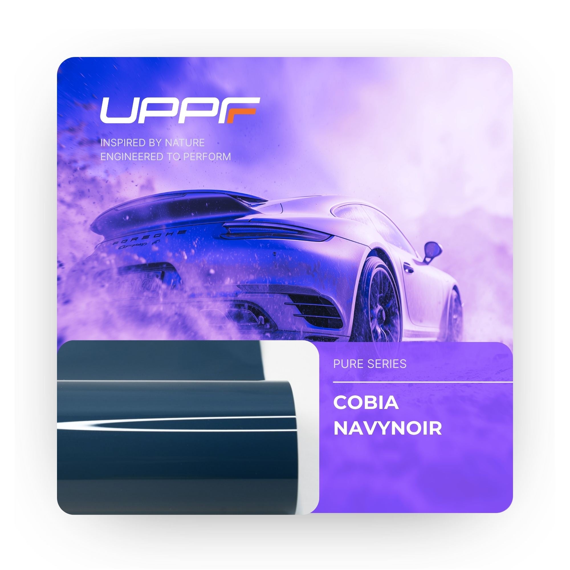 Cobia Navynoir CP6015