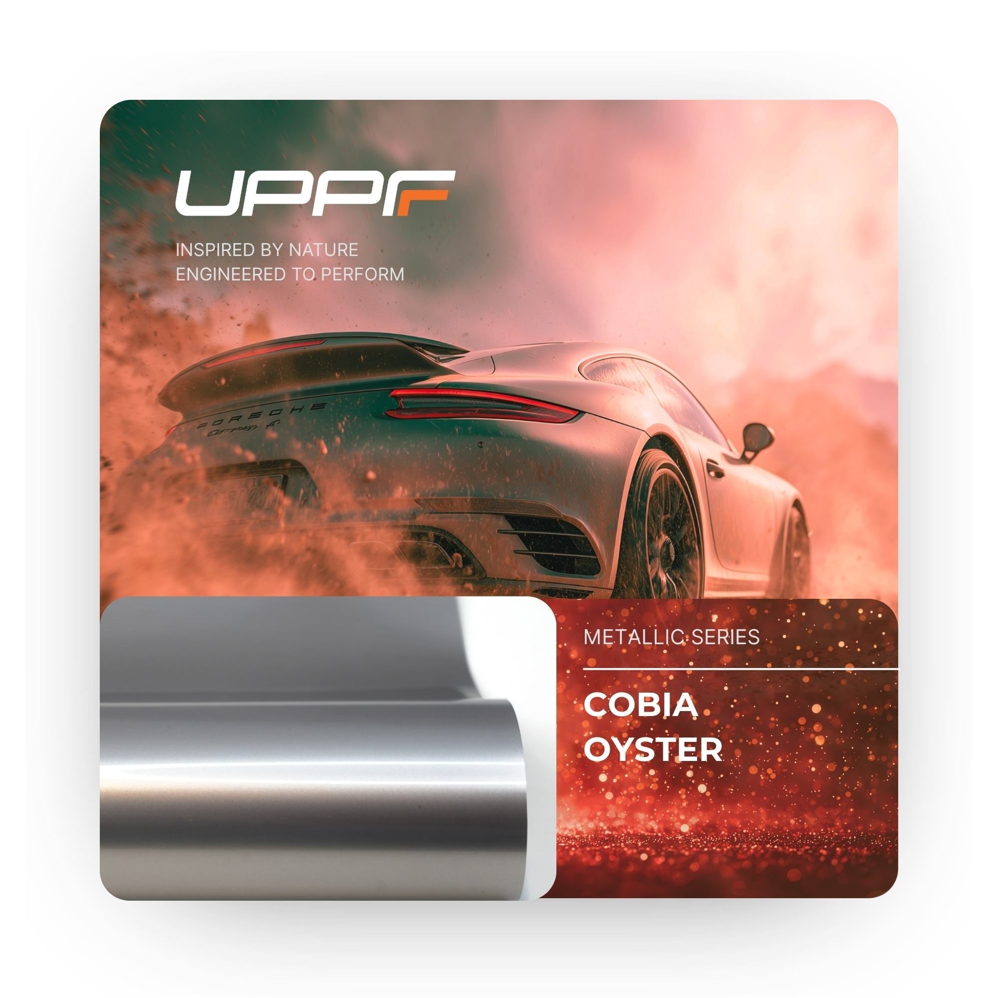 Cobia Oyster CL8008