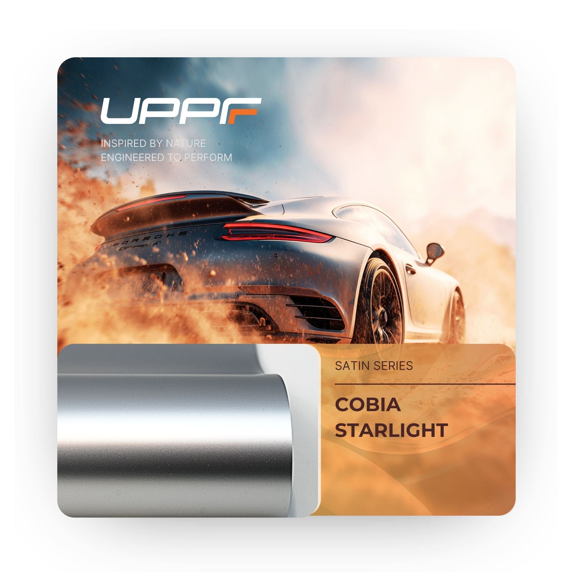 Cobia Starlight CS5016