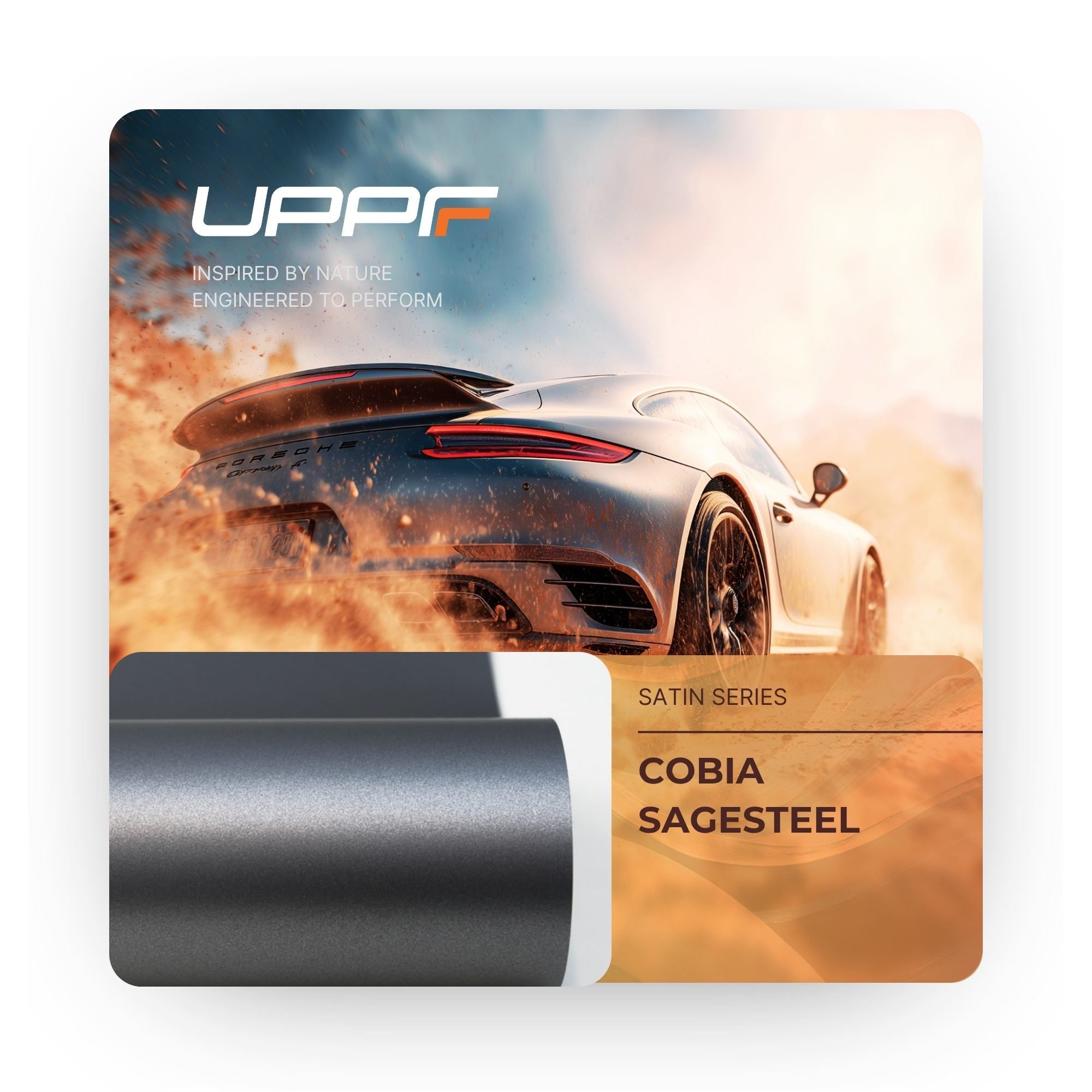 Cobia Sagesteel CS5008