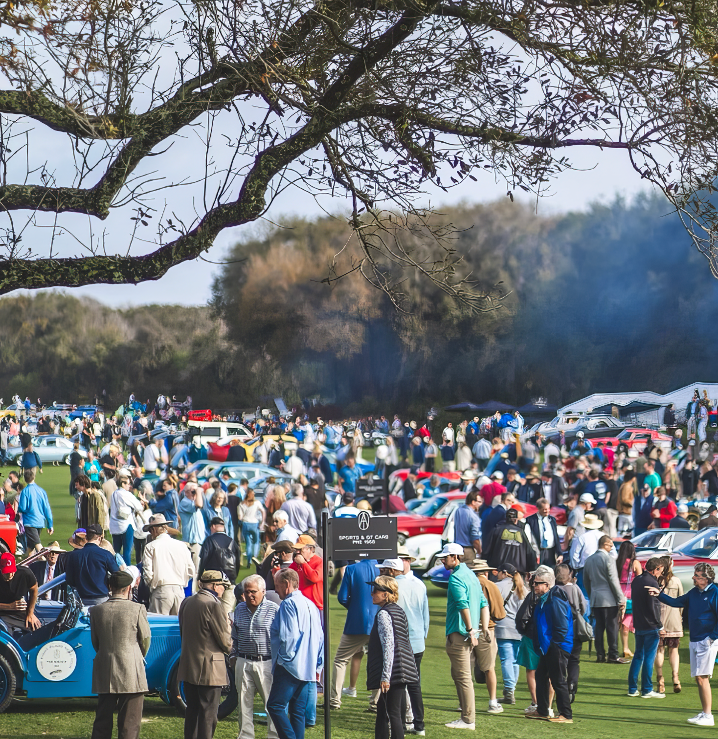 RADwood @ The Amelia 2025 – uppf-australia
