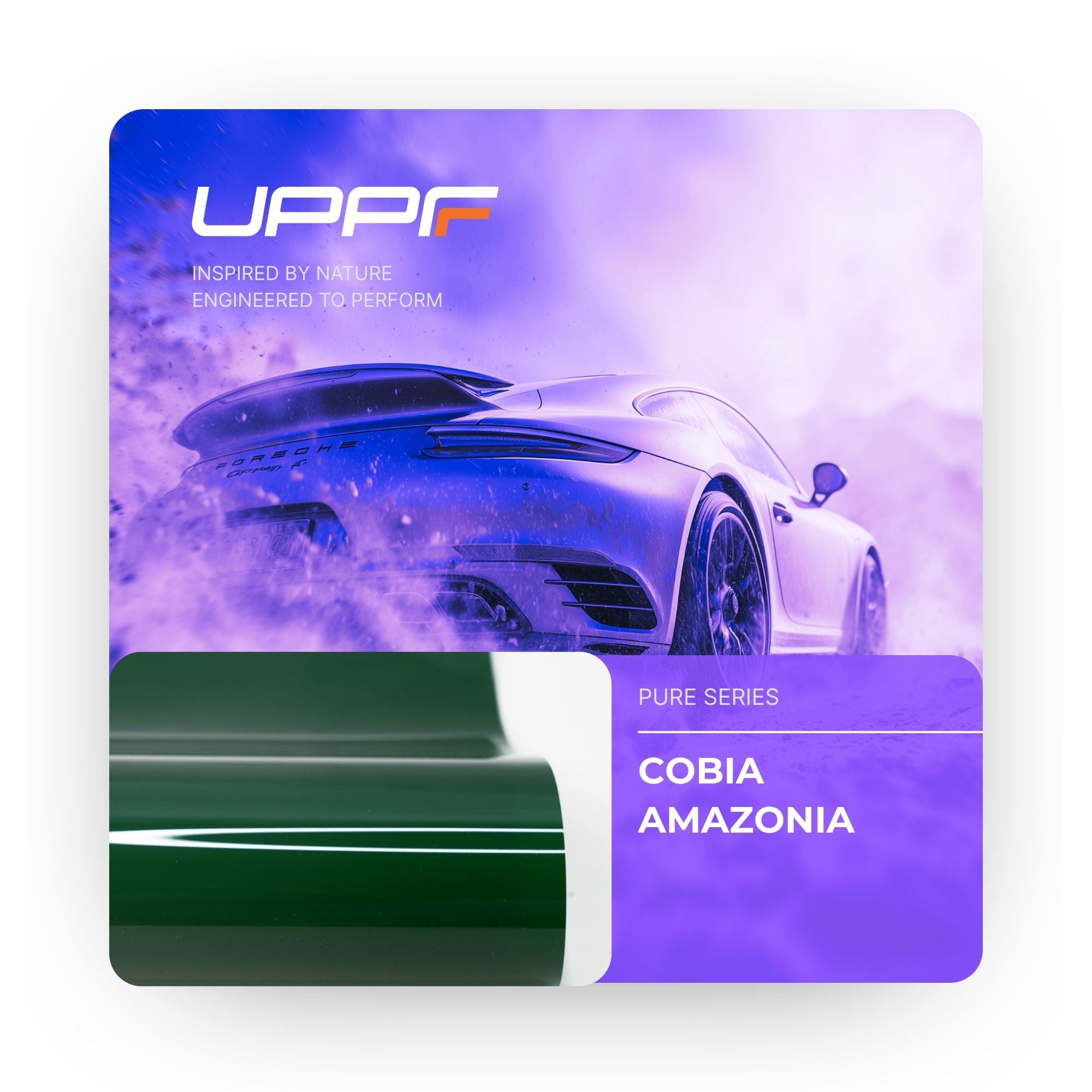 Cobia Amazonia CP6017