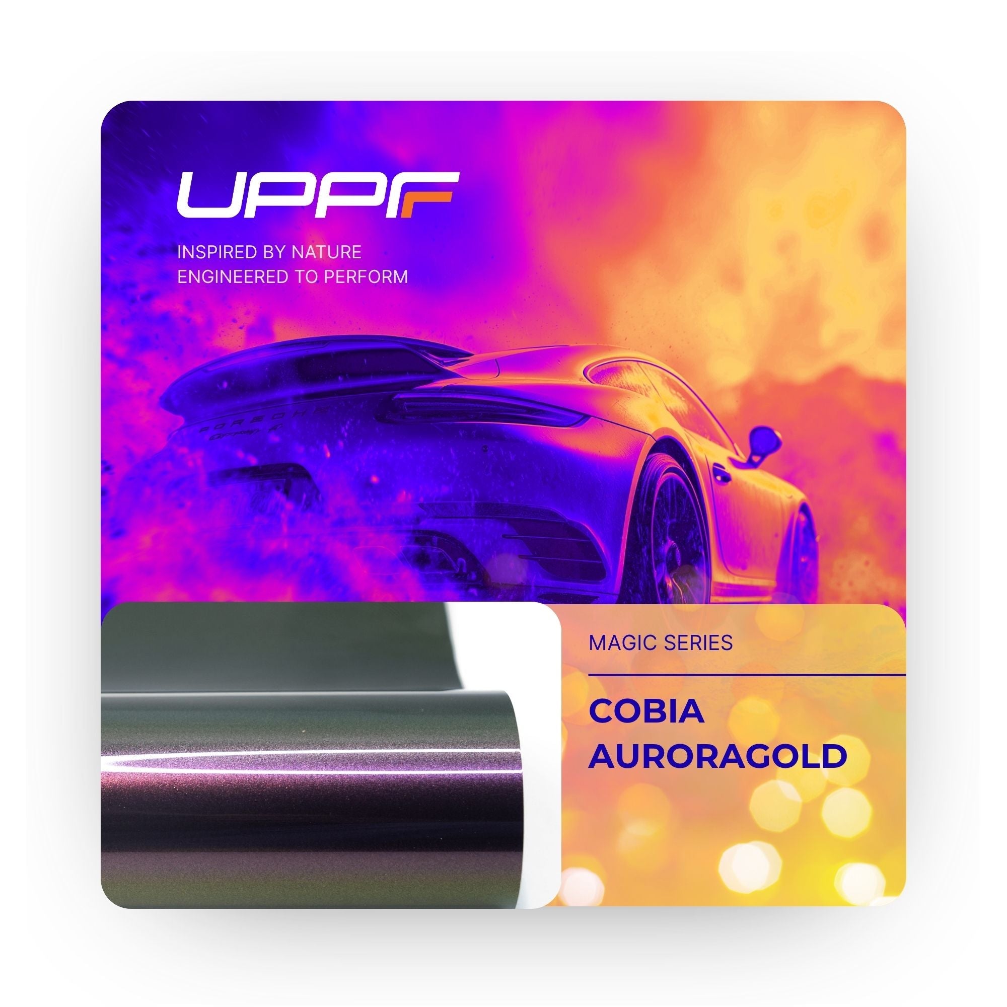Cobia Auroragold CM7002