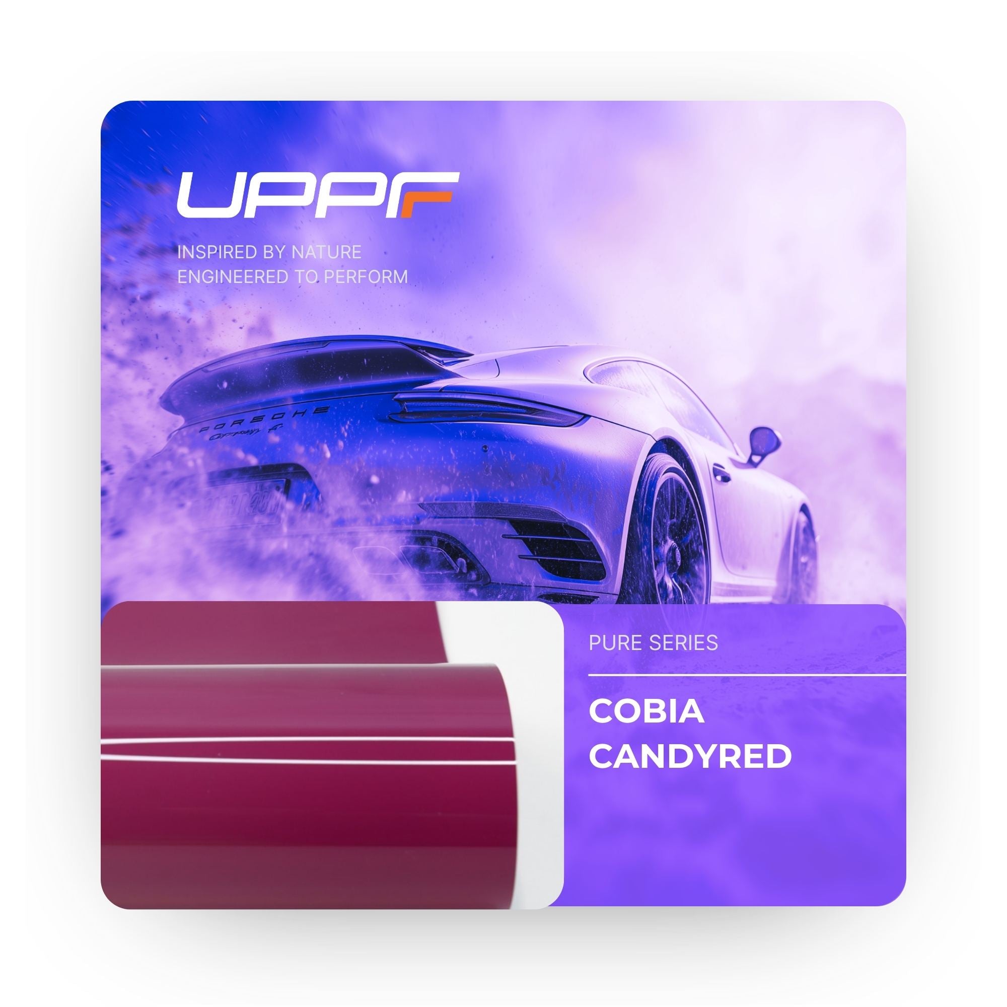 Cobia Candyred CP6022