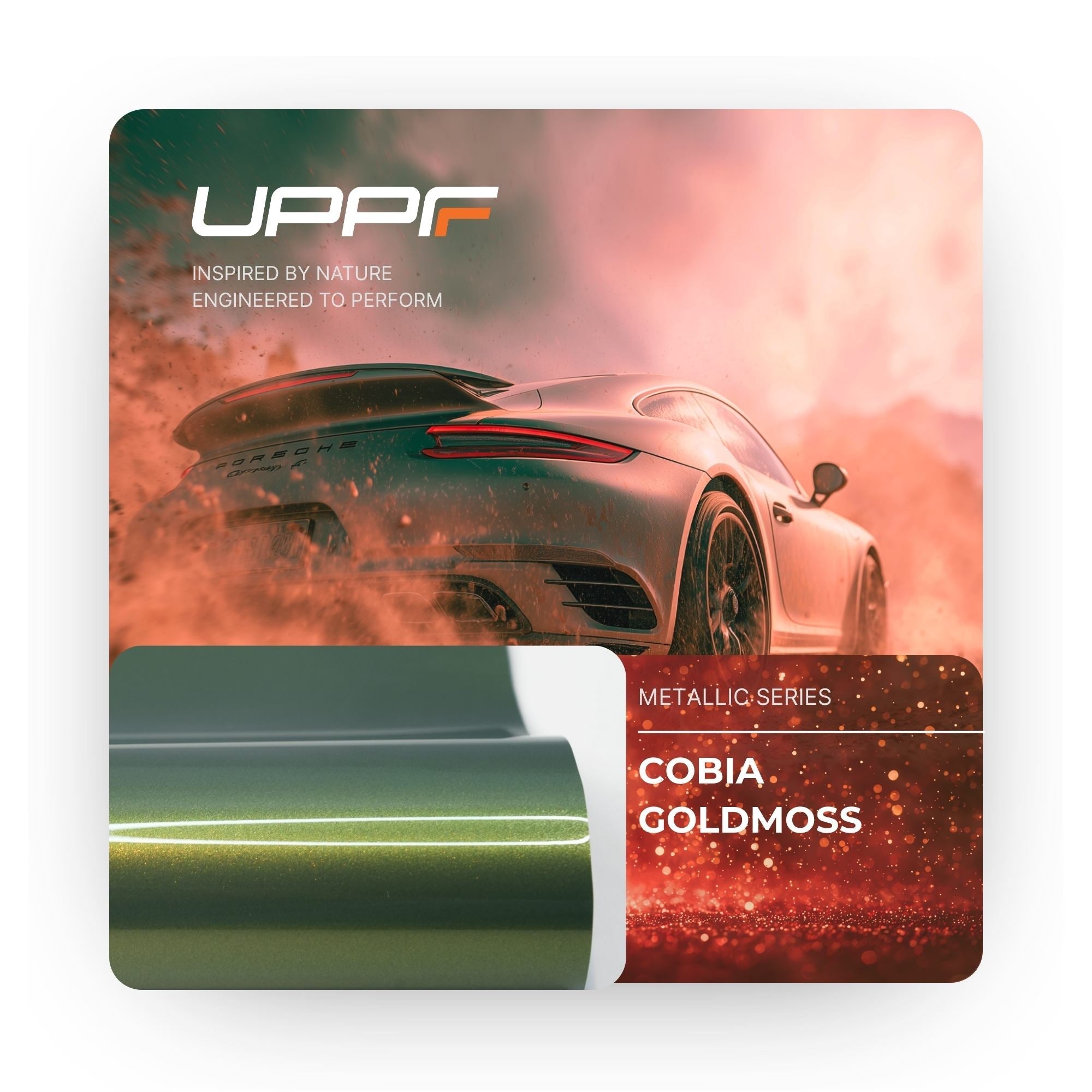 Cobia Goldmoss CL8010