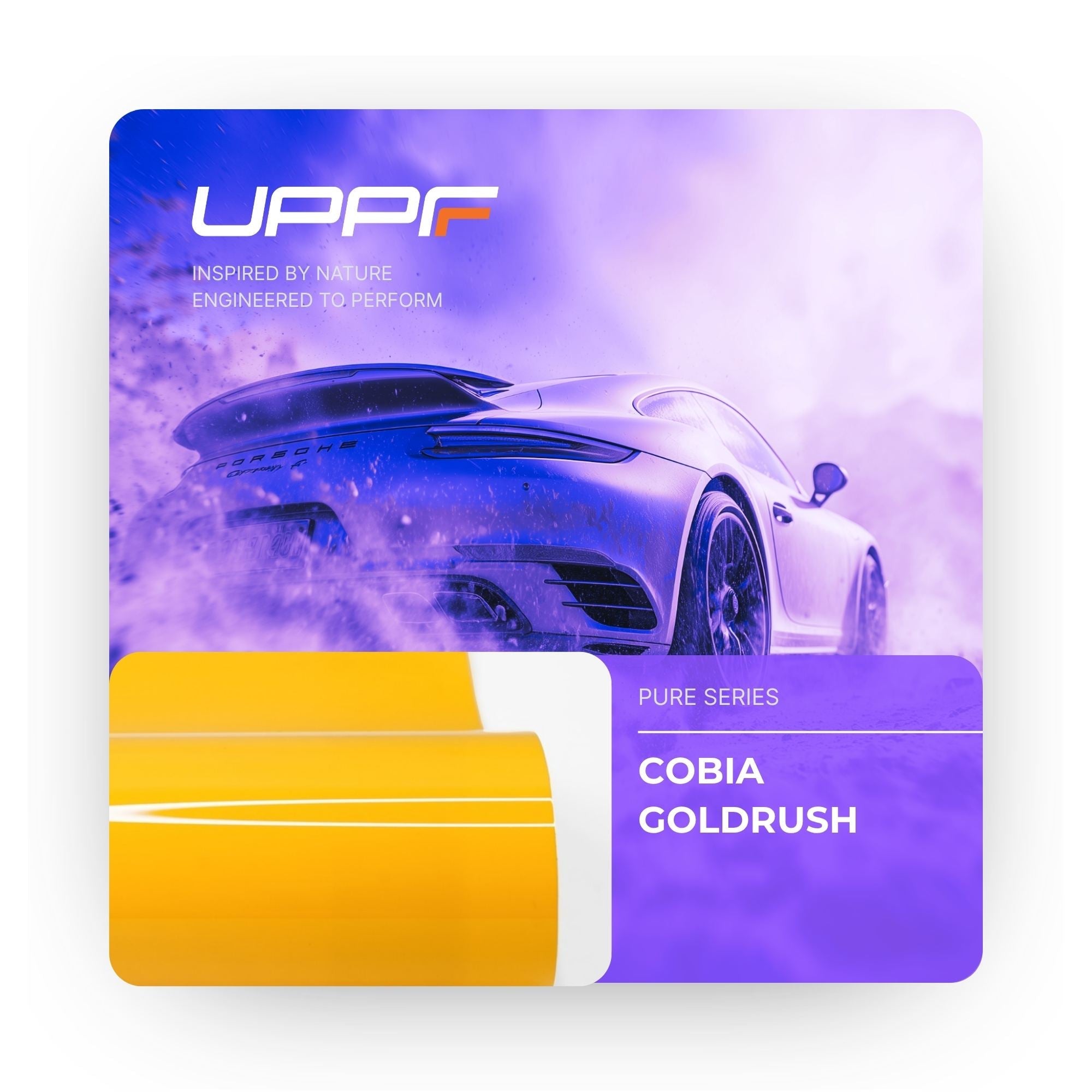 Cobia Goldrush CP6018