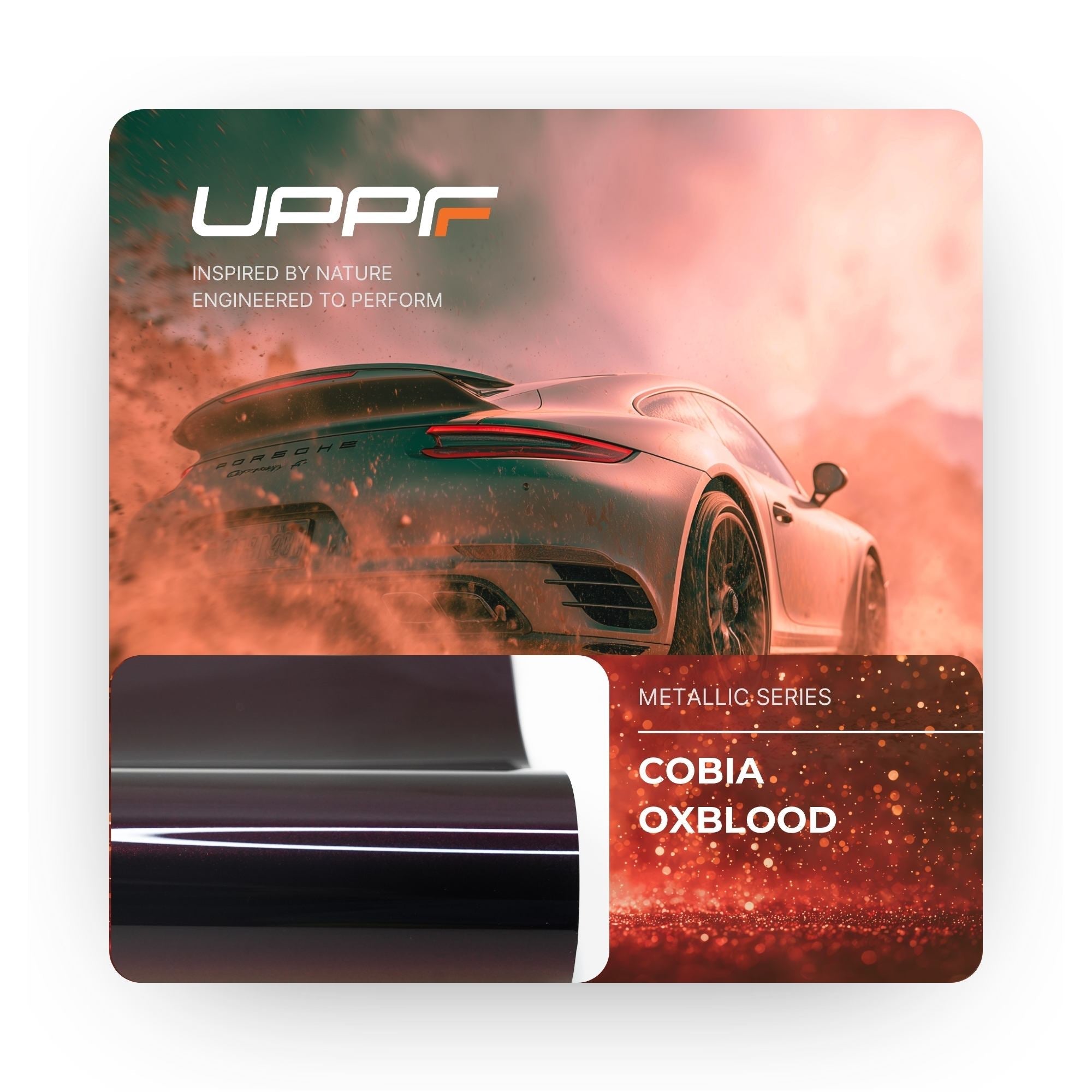 Cobia Oxblood CL8001