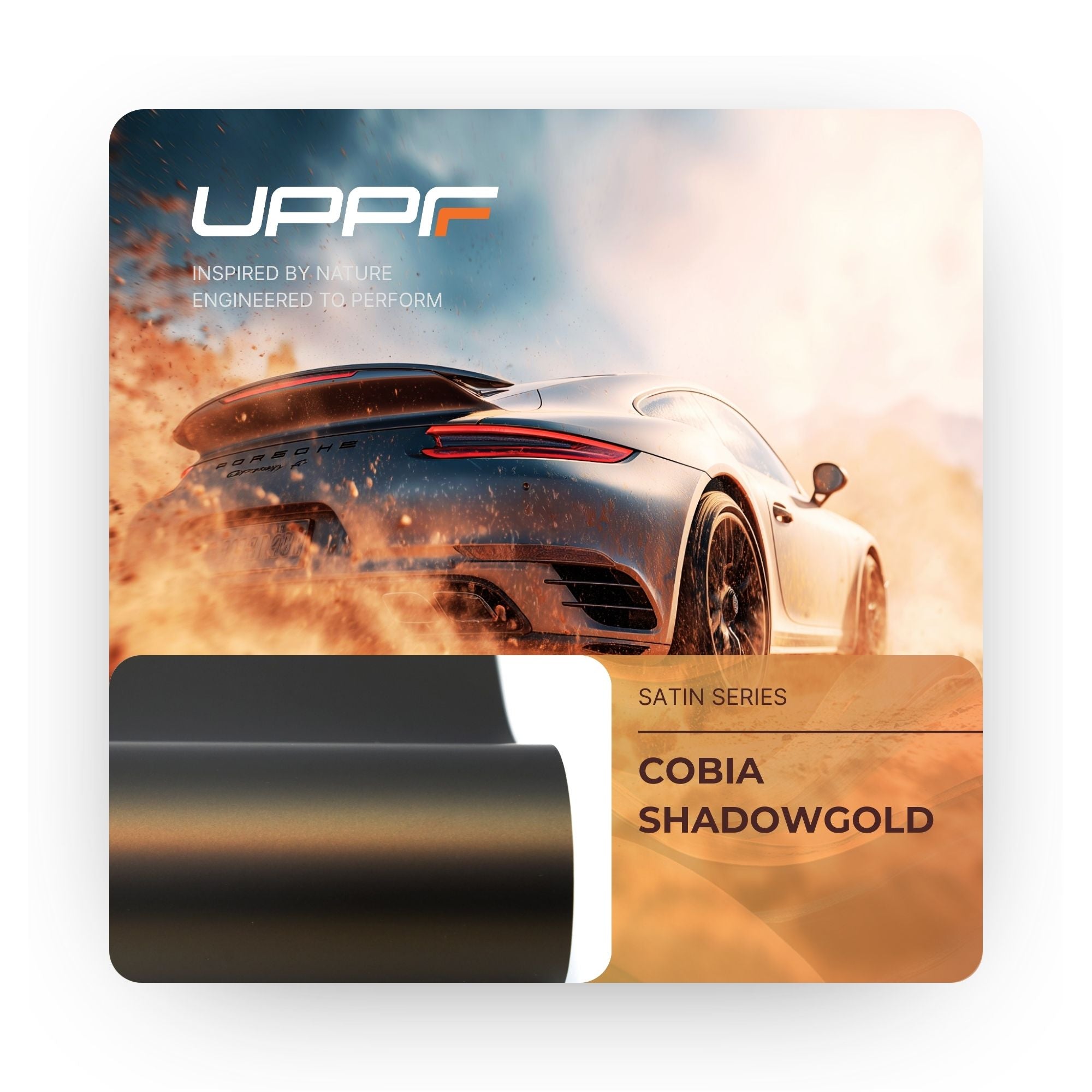 Cobia Shadowgold CS5027
