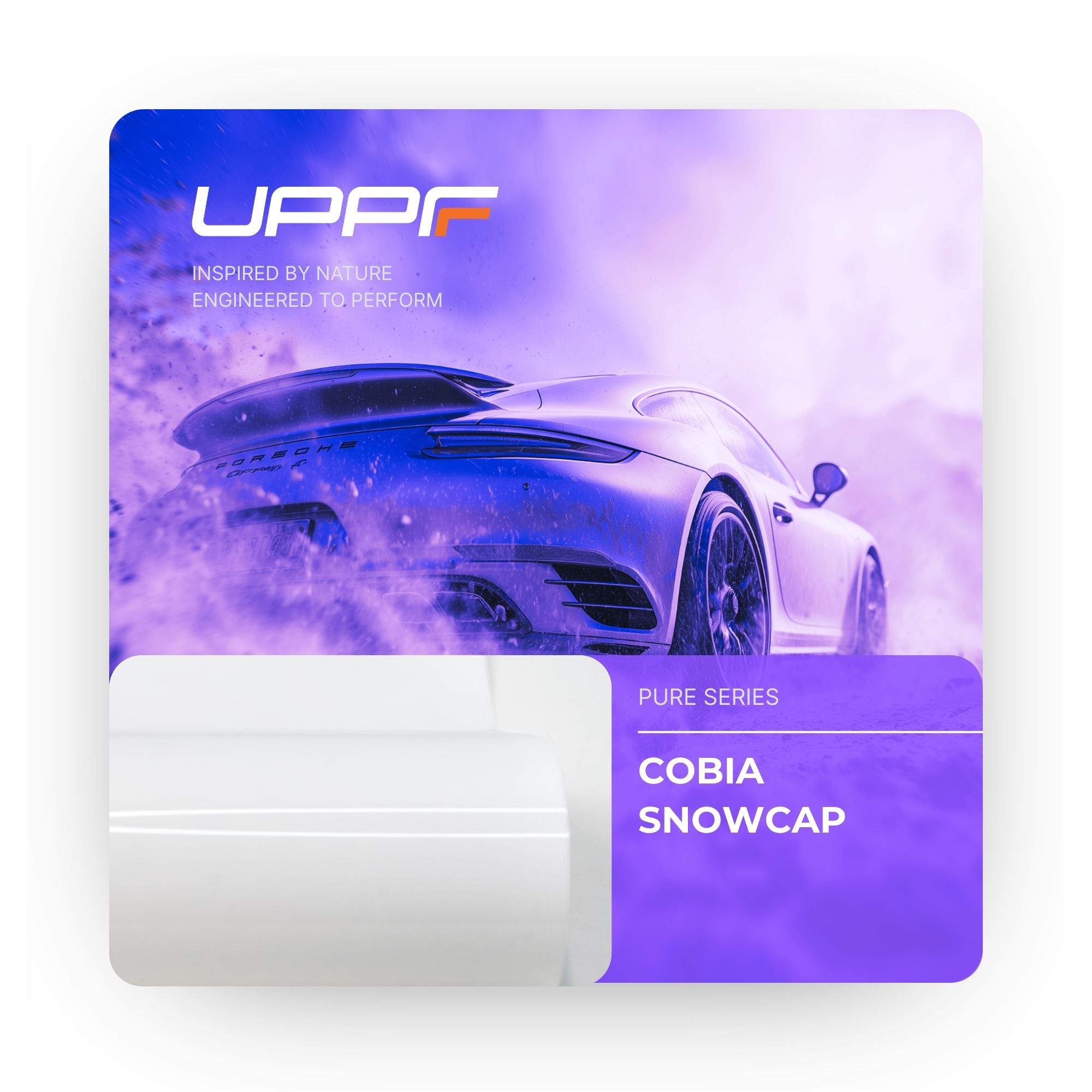 Cobia Snowcap CP6002