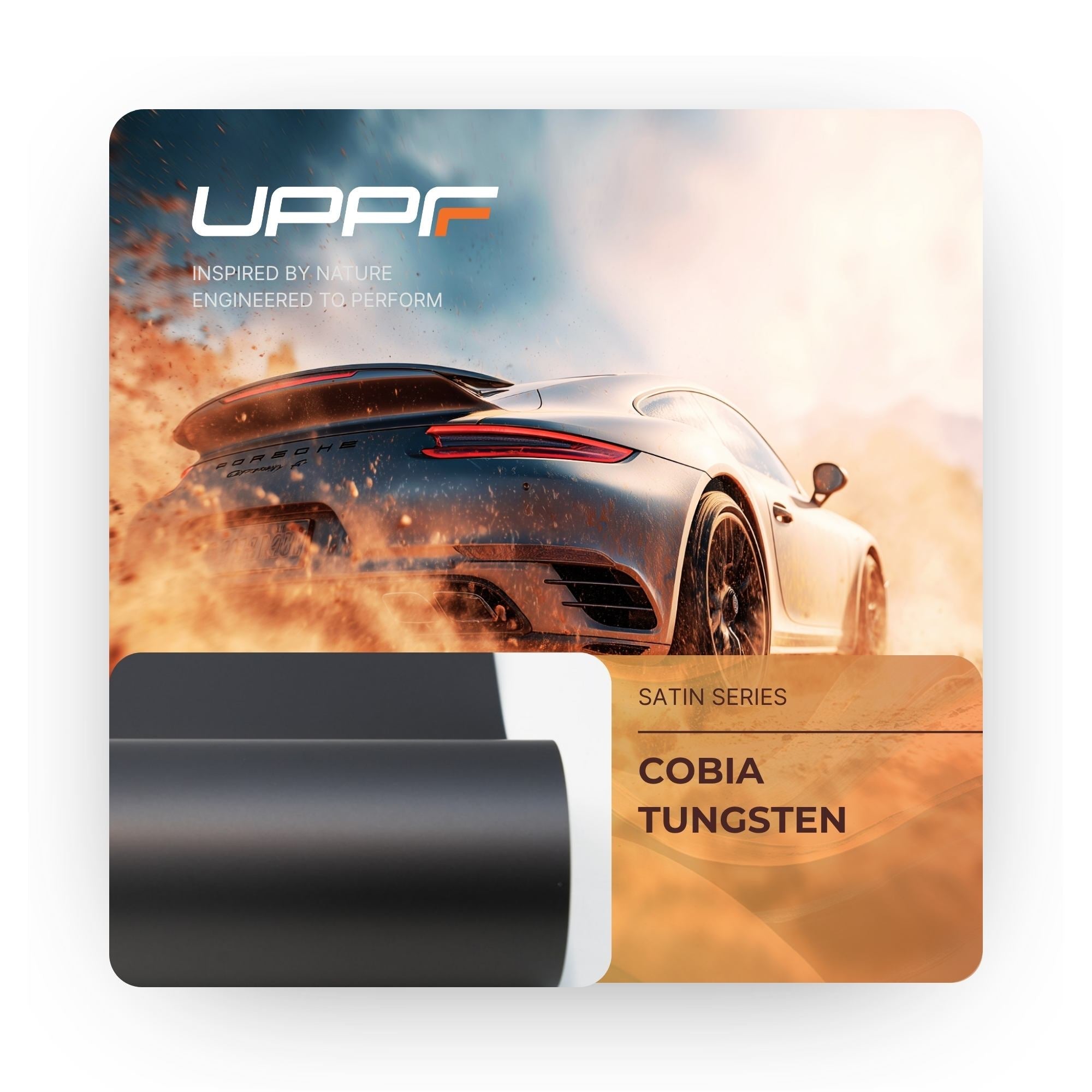 Cobia Tungsten CS5018