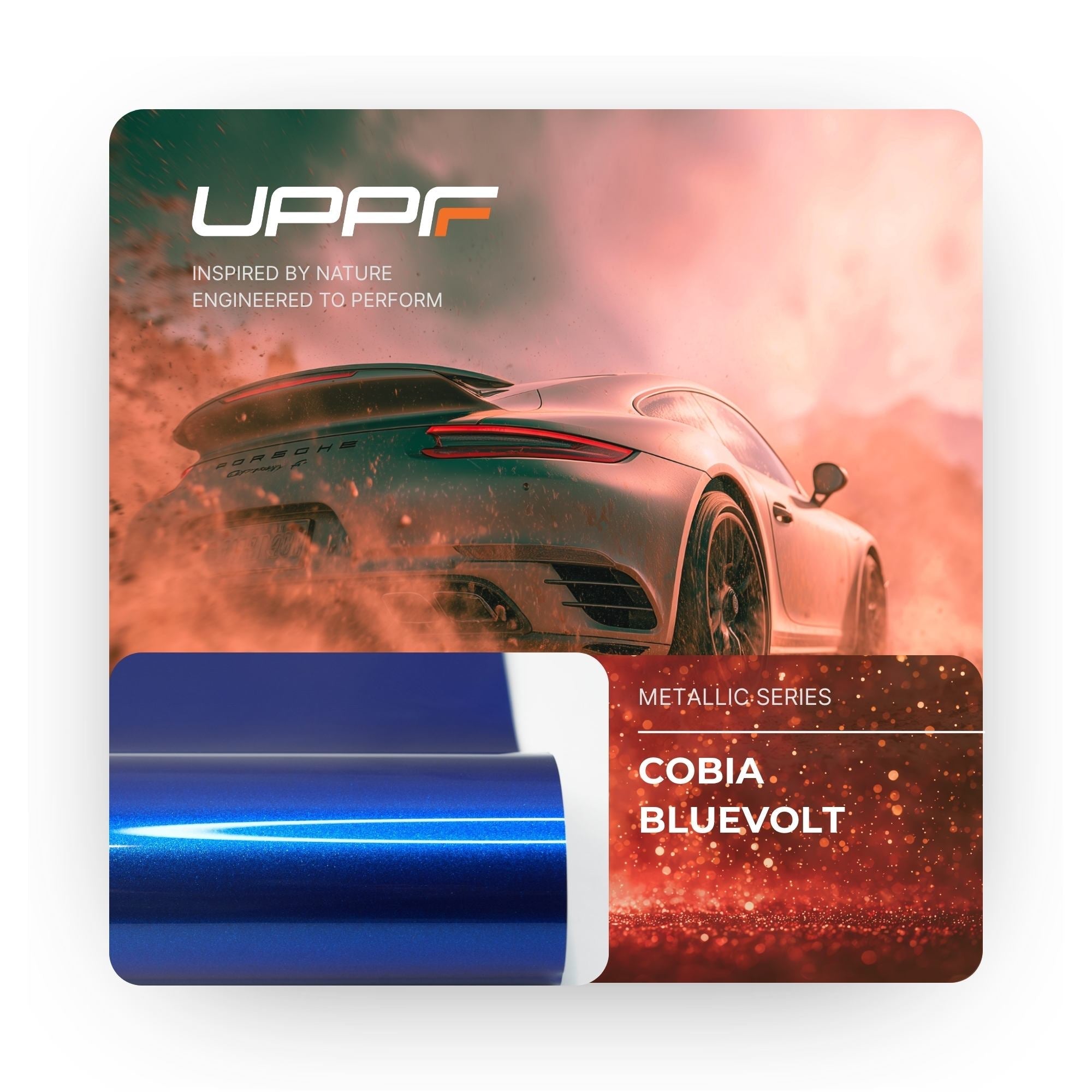 Cobia Bluevolt CL8016