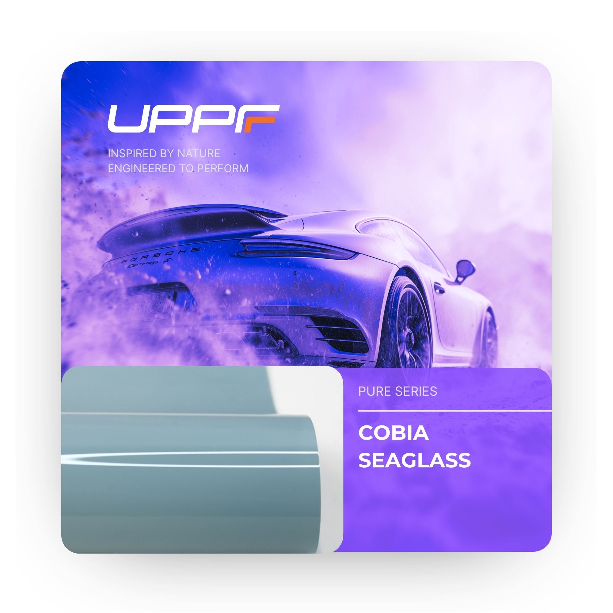 Cobia Seaglass CP6012